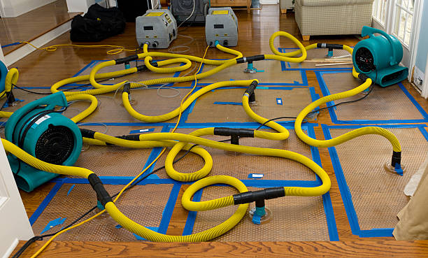Professional Structural Drying And Dehumidification technician working in Sharon, TN